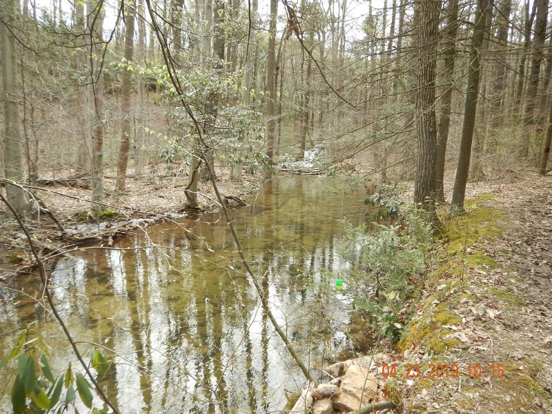 $FowlersHollowStatePark130$.jpg