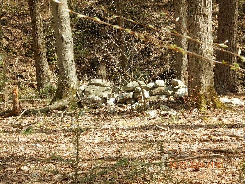 $FowlersHollowStatePark133$.jpg - It's obvious people spend some time here and logs across Fowler Hollow Road indicate there is not enforcement of regs here.