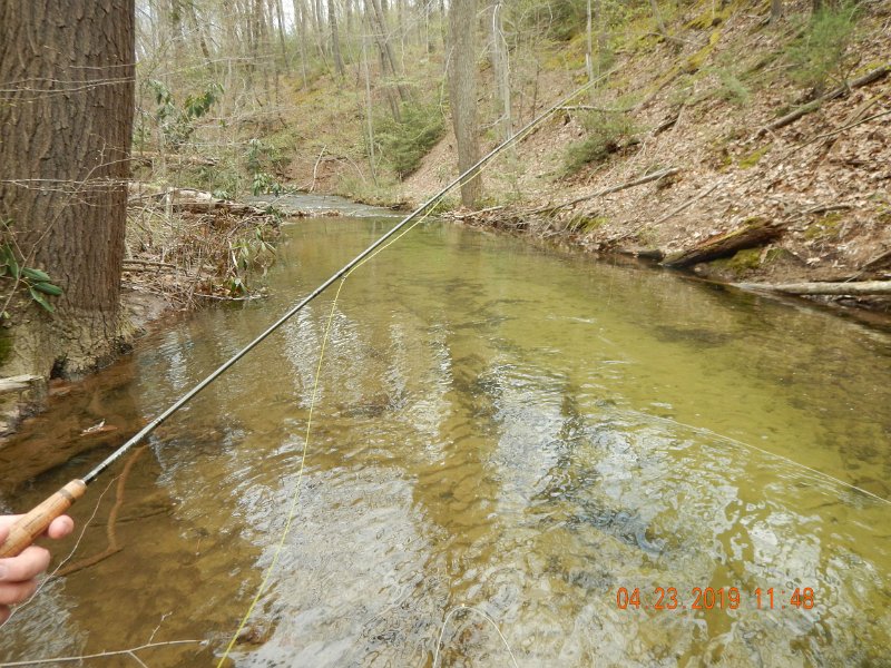 $FowlersHollowStatePark140$.jpg