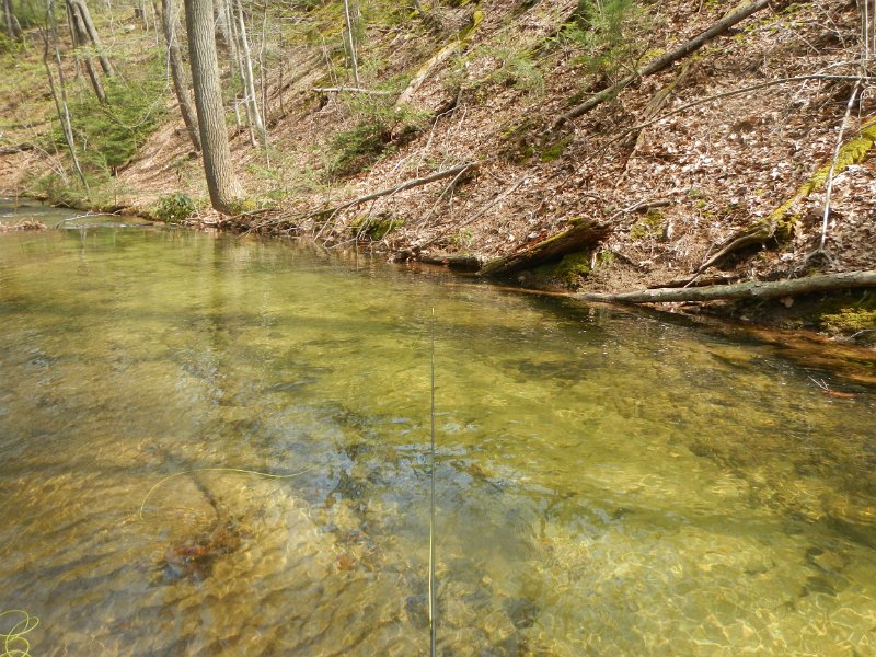 $FowlersHollowStateParkGW002$.jpg
