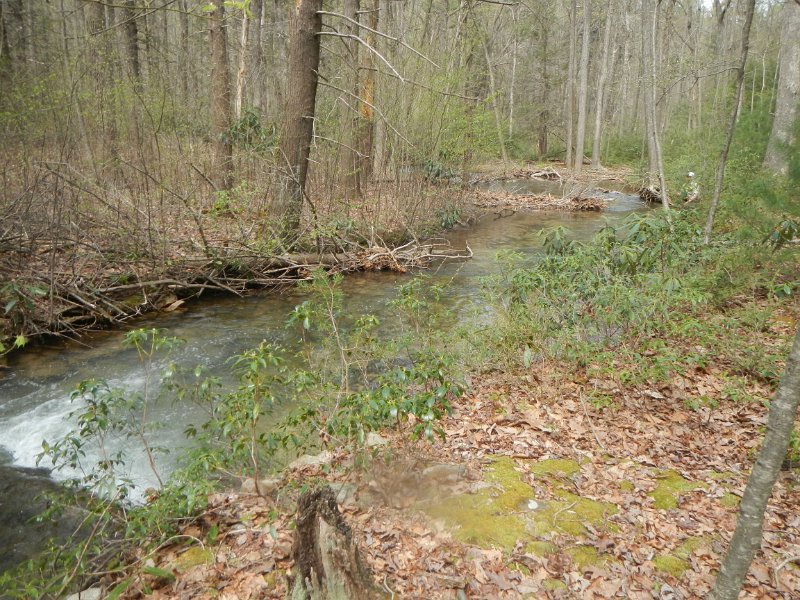 $FowlersHollowStateParkGW006$.jpg