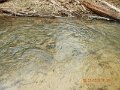$FowlersHollowStatePark023$