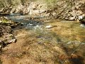 $FowlersHollowStatePark049$