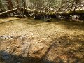 $FowlersHollowStatePark057$