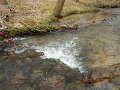 $FowlersHollowStatePark082$