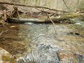$FowlersHollowStatePark084$