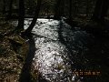 $FowlersHollowStatePark122$