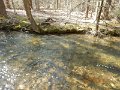 $FowlersHollowStatePark123$