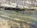 $FowlersHollowStatePark125$