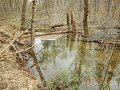 $FowlersHollowStatePark131$