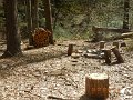 $FowlersHollowStatePark132$