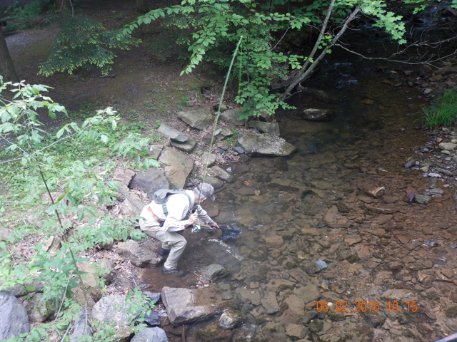 DSCN1398.jpg -       Here he is scooping it up in the net.                         