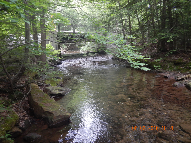 DSCN1400.jpg -                      I went down stream and missed several little ones in this run.          