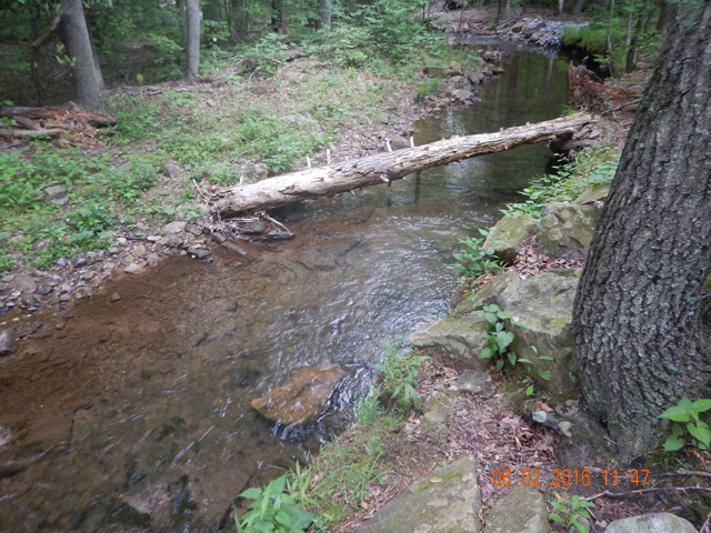 DSCN1407.jpg -                That stocker came from this run.  As with all our fish, it was returned to the stream                