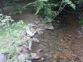 DSCN1397