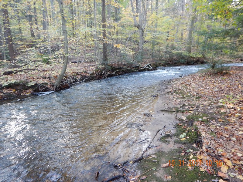 DSCN2738.jpg - Compared to previous visits, Fowlers hae a lot more water.