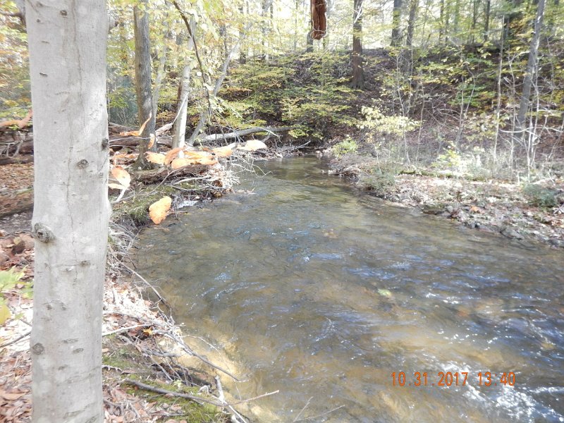 DSCN2742.jpg