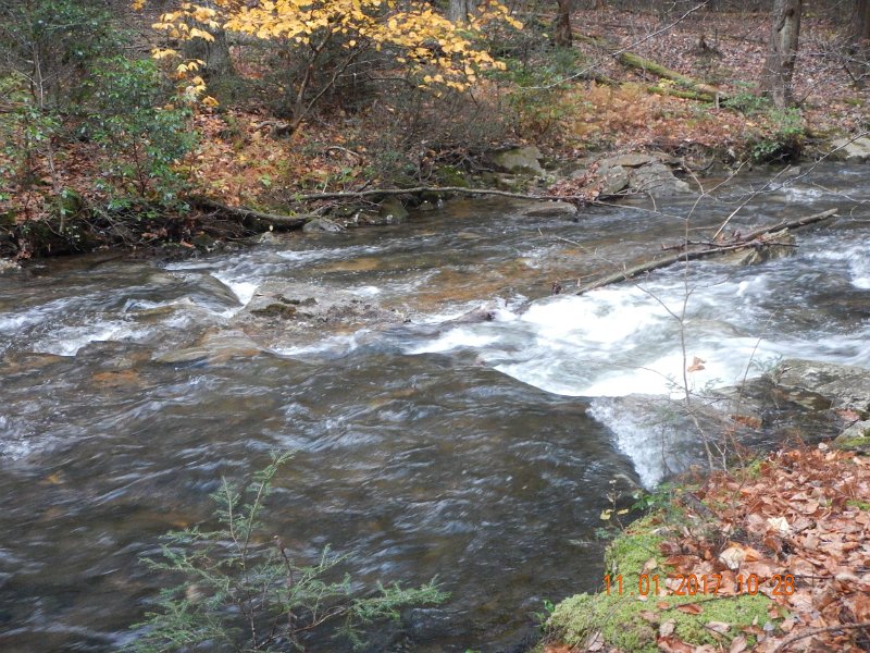 DSCN2749.jpg - I've never fished Laurel when the water was so fast and high.  This was not going to be dry fly fishing.