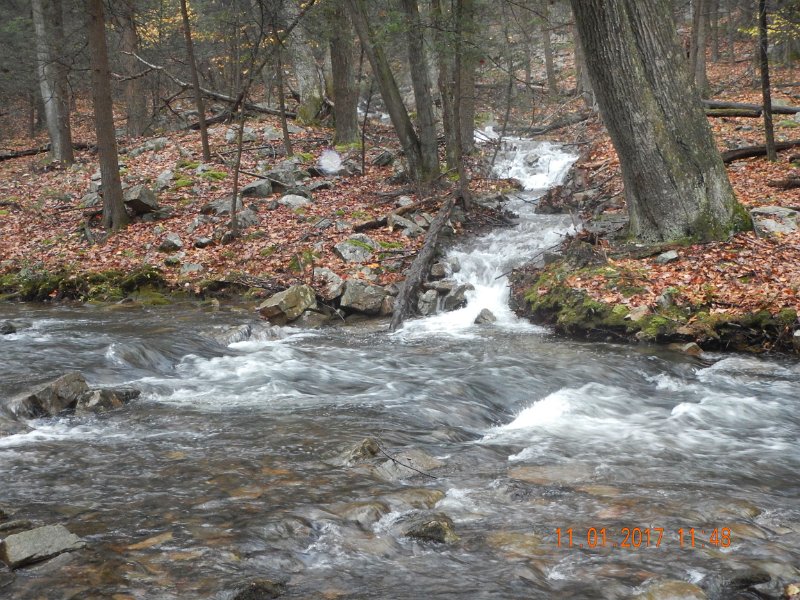 DSCN2762.jpg - This is what I meant by fast and high.  All the feeder streams looked like this...as did the main branch.