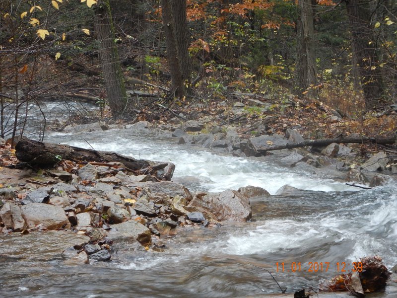 DSCN2771.jpg - White caps all over the place.  This is as rough as I've seen at Laurel.