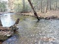 DSCN2737