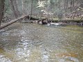 DSCN2751