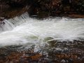 DSCN2769