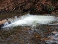 DSCN2770