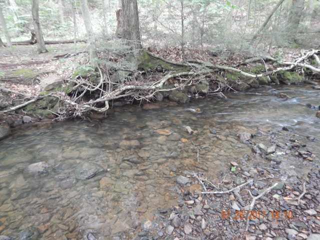 DSCN2254.jpg -                                This run looked interesting so I drifted a dry.