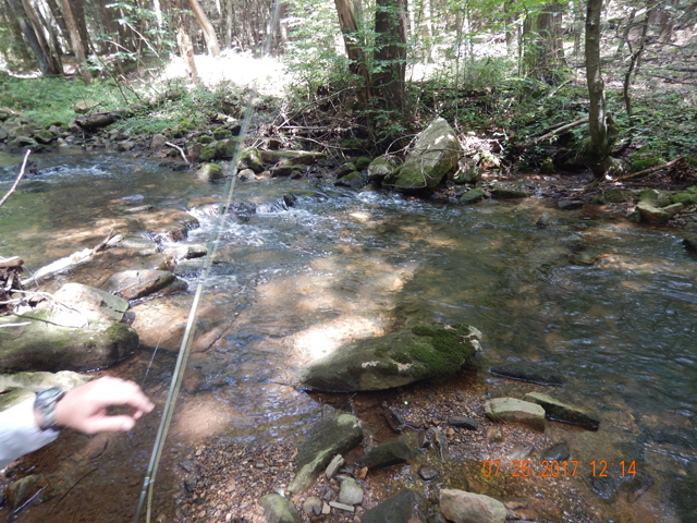 DSCN2269.jpg -                                Then he got the following fish out of this small run.