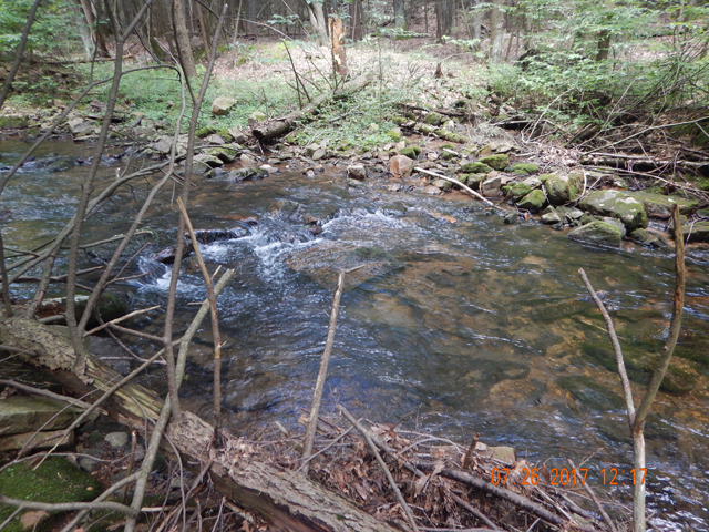 DSCN2271.jpg -                                It was in this run.