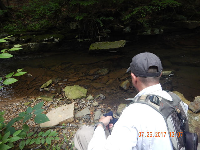 DSCN2274.jpg -                                These deeper runs on Laurel were certainly more productive than the shallower water of Fowlers or Sheaffer.