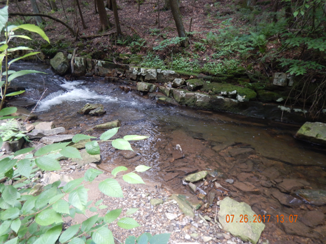 DSCN2275.jpg -                                This run was close to the parking lot and surprisingly, held a little fish.