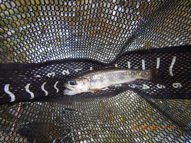DSCN2276.jpg -                                I pulled this one.