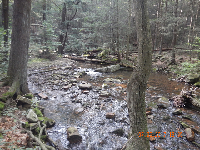 DSCN2285.jpg -                                But, without continued rainfall, this will be reduced to a trickle. Probably my last trout trip till fall.