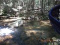DSCN2262