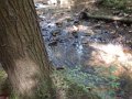 DSCN2264