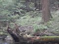 DSCN2278