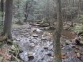 DSCN2285