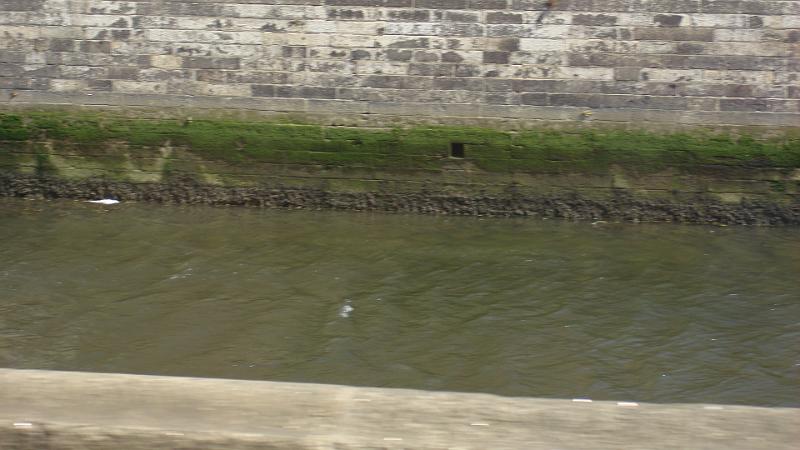 DSC02060.JPG