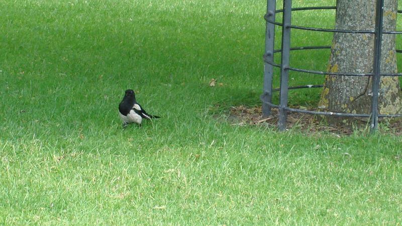 DSC02069.JPG
