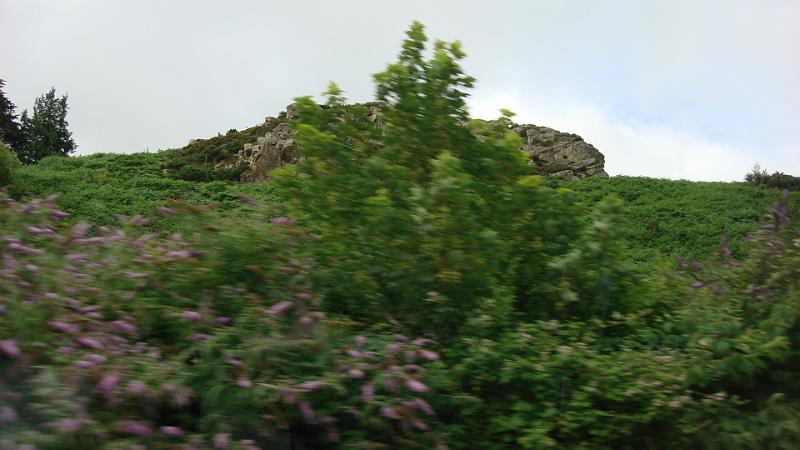 DSC02091.JPG