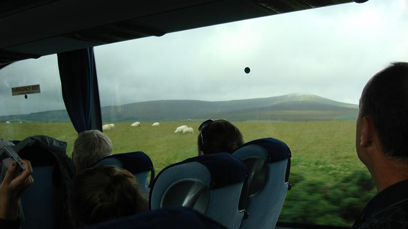 DSC02094.JPG