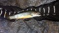 IMG_20140411_095231_285