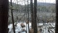 IMG_20140411_101721_418