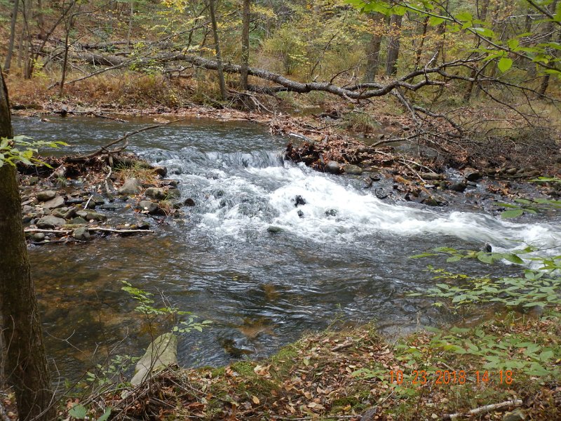 $HickoryRun005$.jpg - Maybe the water was too fast.  Couldn't be the water temp, it was hovering at about 50 degrees.