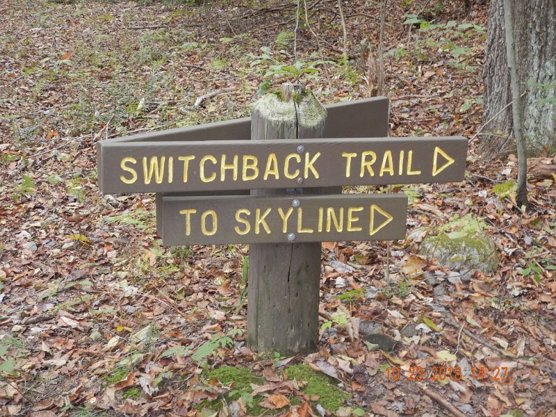 $HickoryRun006$.jpg - Hey, Gary.  Remember this trail from a few sweaty years ago?