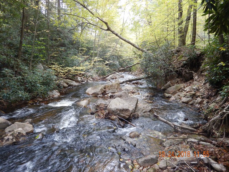 $HickoryRun011$.jpg - And the stream was no easier to navigate than what I remembered.