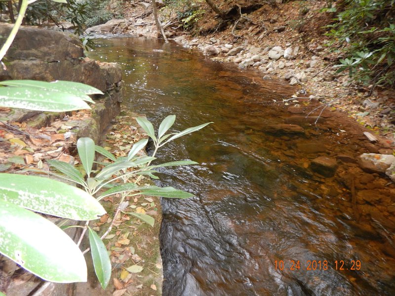 $HickoryRun015$.jpg - I missed a lunker from this pool.  Had him on (yes it was a boy) and almost to the net when he threw the hook.