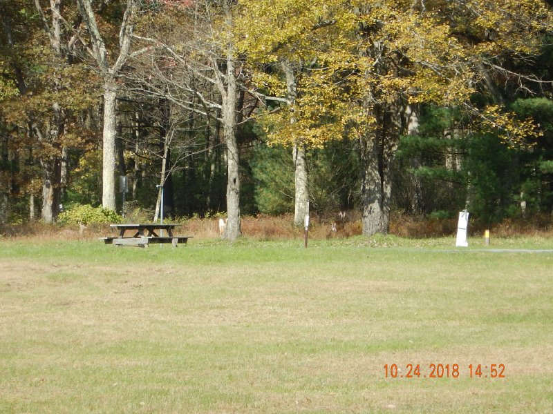 $HickoryRun023$.jpg - Last picture. Pick out the deer.  There's actually two in this pic.